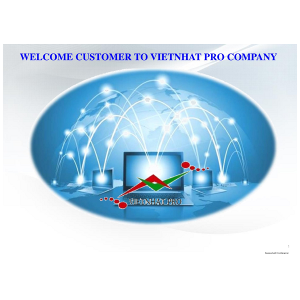 VIET NHAT - COMPANY PROFILE