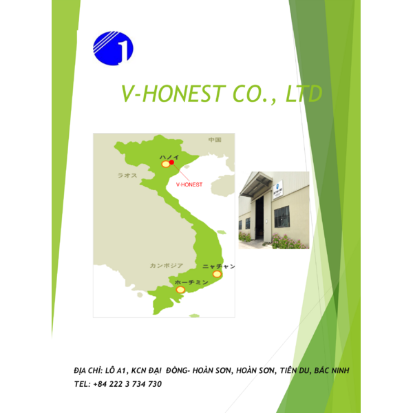 V-HONEST COMPANY PROFILE