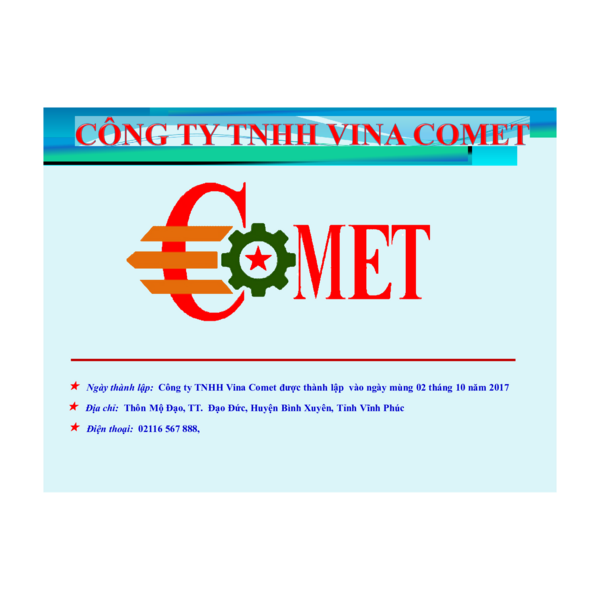 VINA COMET - COMPANY PROFILE