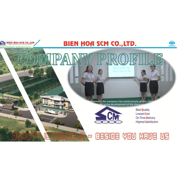 BIEN HOA SCM - COMPANY PROFILE