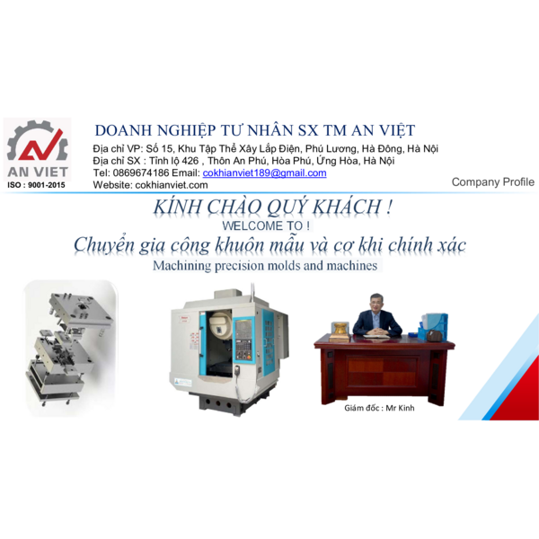 AN VIET - COMPANY PROFILE