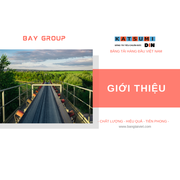 TU THANH - COMPANY PROFILE