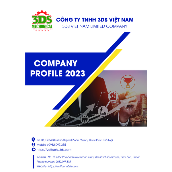 3DS - COMPANY PROFILE