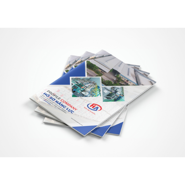 HOA AN - COMPANY PROFILE
