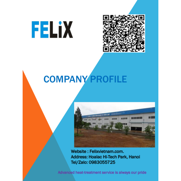 Công ty Cổ phần Felix Việt Nam