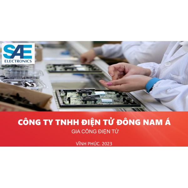 SAE - COMPANY PROFILE