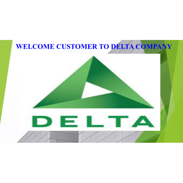DELTA - COMPANY PROFILE