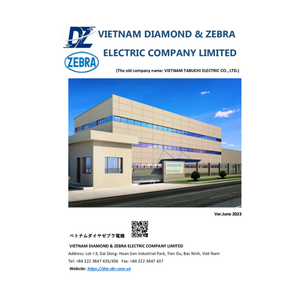 DIAMOND & ZEBRA ELECTRIC - COMPANY PROFILE