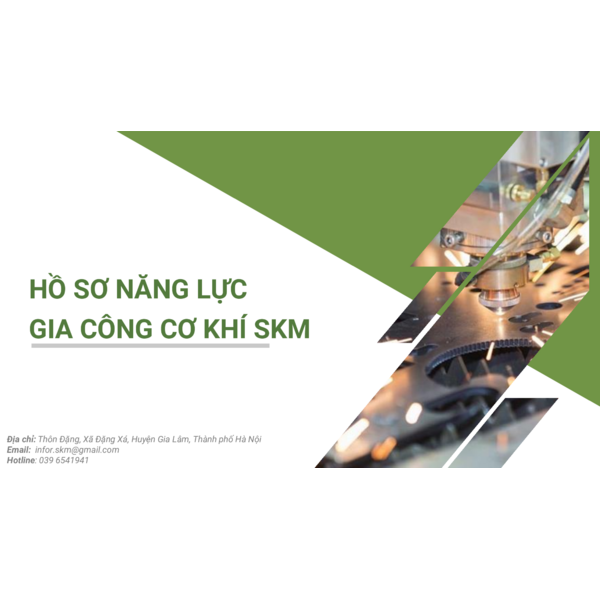SKM - COMPANY PROFILE