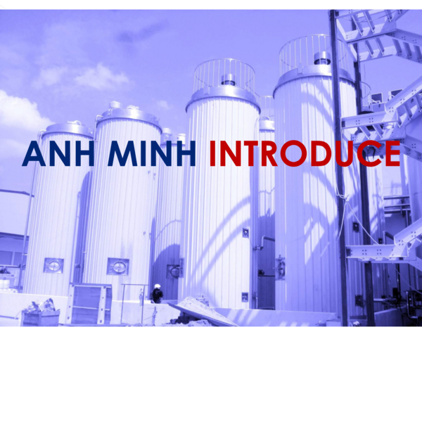 Công ty TNHH Thương Mại Công Nghệ Anh Minh