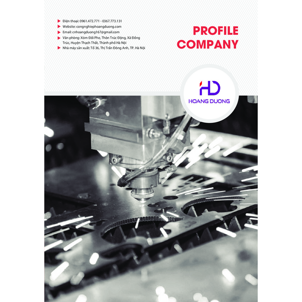 HOANG DUONG - COMPANY PROFILE