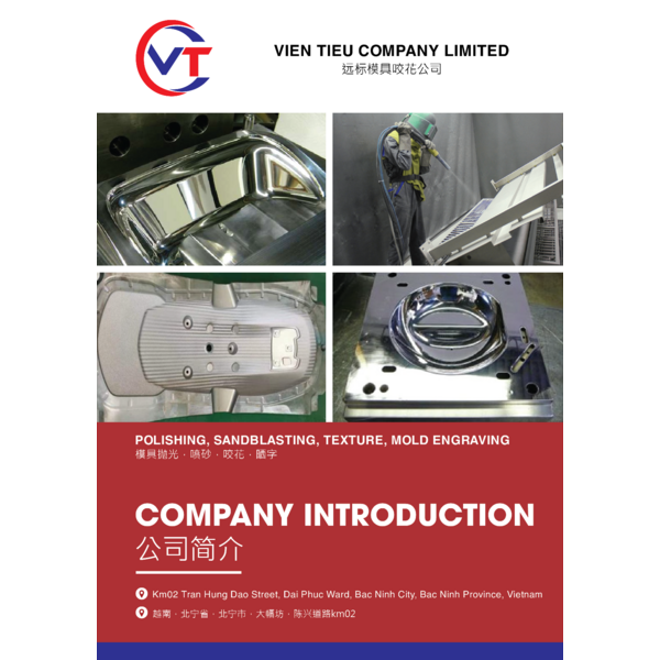 VIEN TIEU - COMPANY PROFILE
