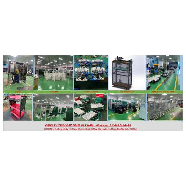 DST - COMPANY PROFILE