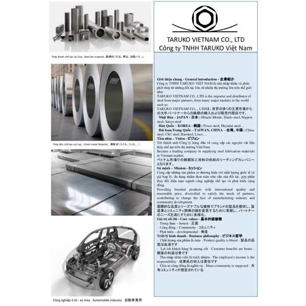 TRV - COMPANY PROFILE