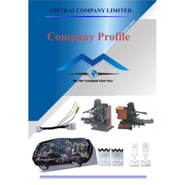 VIETKAI - COMPANY PROFILE