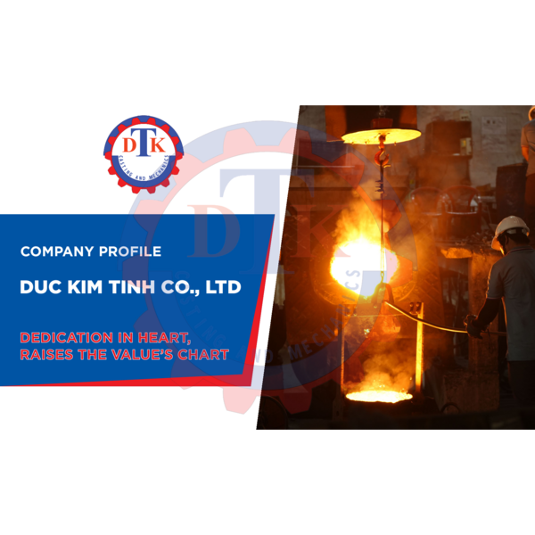 DUC KIM TINH - COMPANY PROFILE
