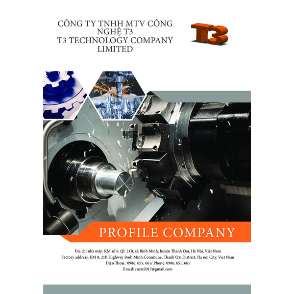 T3 - COMPANY PROFILE