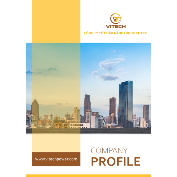 VITECH - COMPANY PROFILE