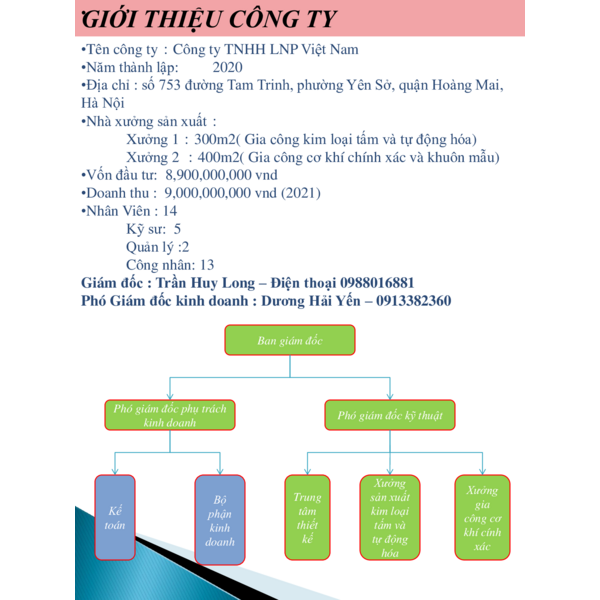 LNP - COMPANY PROFILE