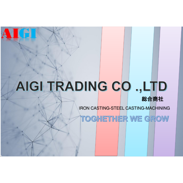 AIGI - COMPANY PROFILE
