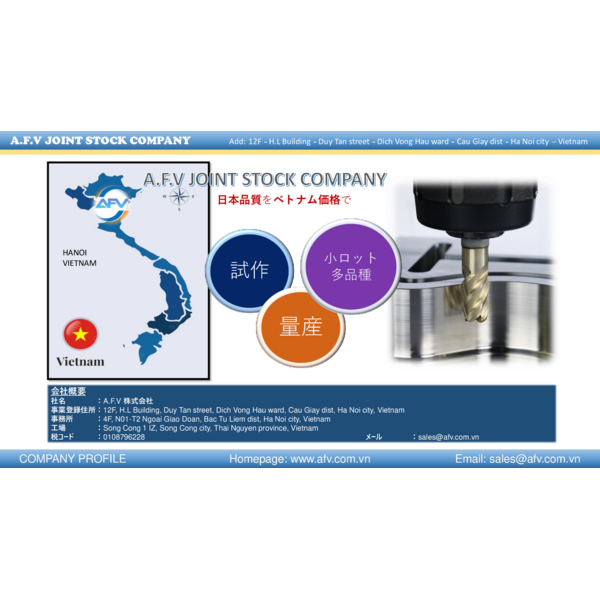 AFV - COMPANY PROFILE