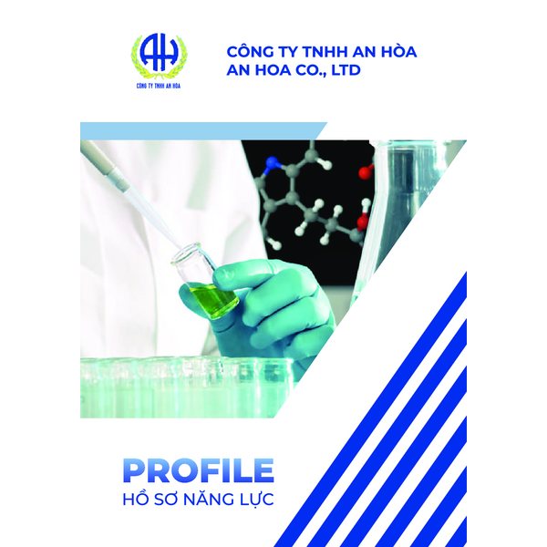 AN HOA - COMPANY PROFILE