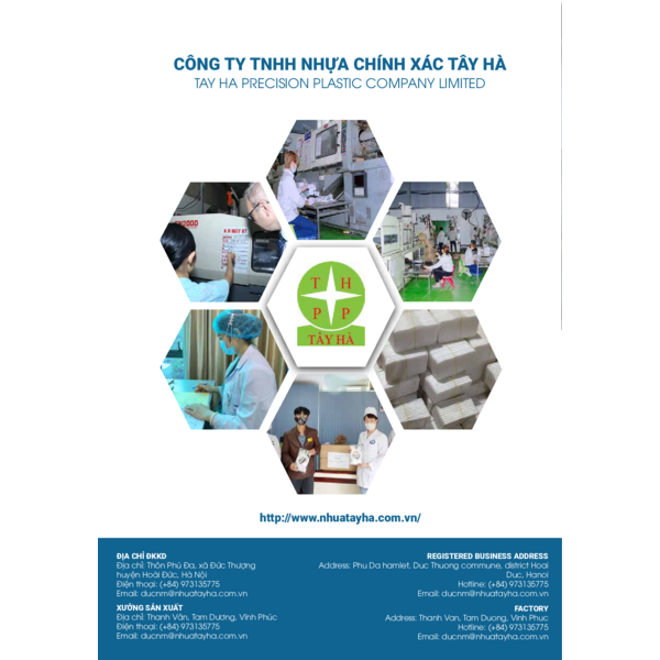 TAY HA - COMPANY PROFILE