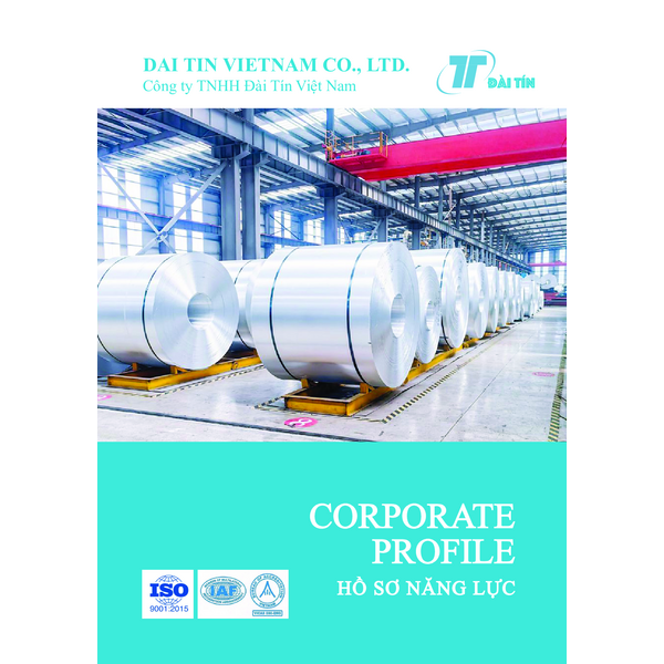 Company profile