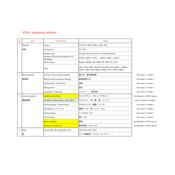 VIJA COMPANY PROFILE
