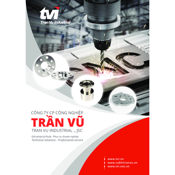 TRAN VU - COMPANY PROFILE