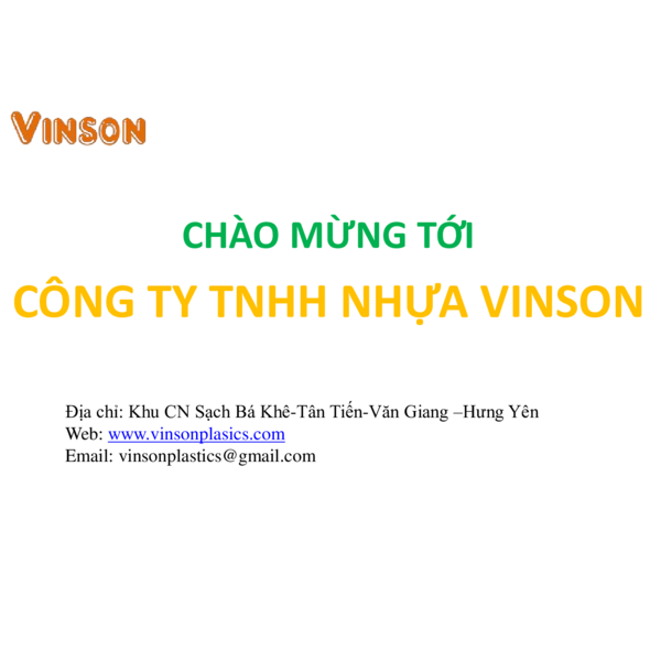 VISION - COMPANY PROFILE