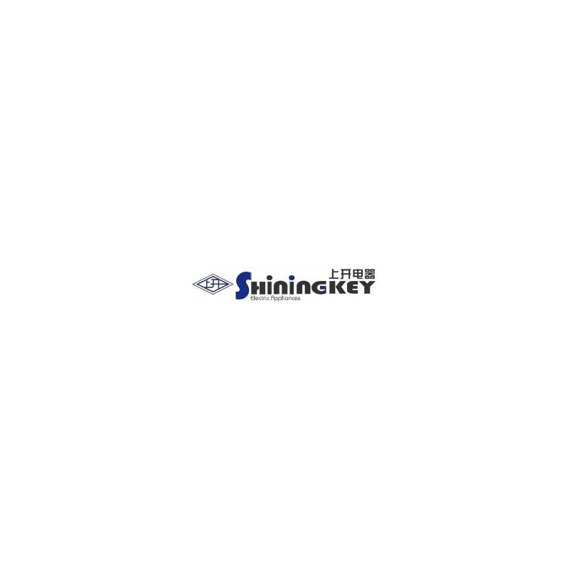 Shiningkey Automotive Electrical Equipment Co., Ltd. (Vietnam)