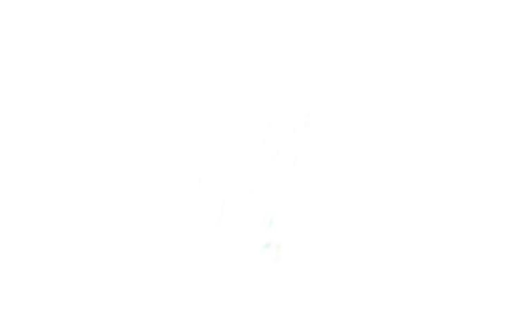 HIROSE INDUSTRY CO.,LTD