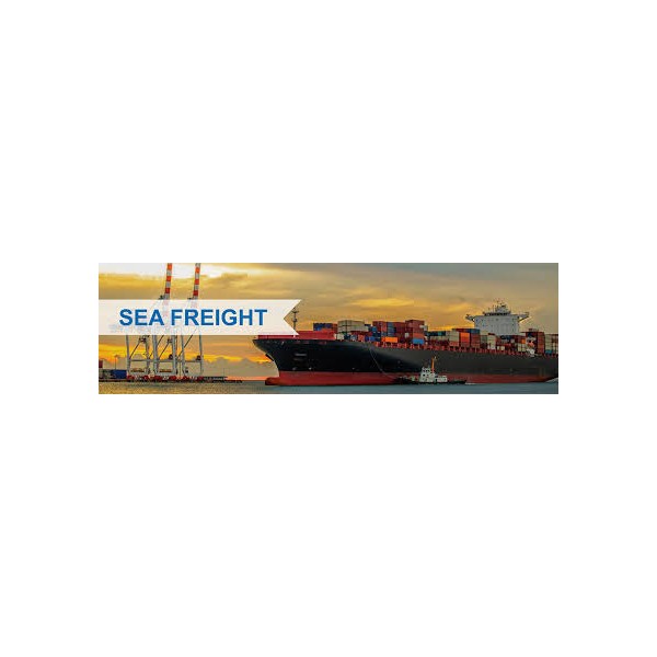 International Freight