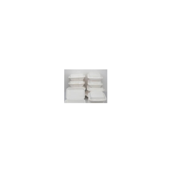 Bagasse paper tray