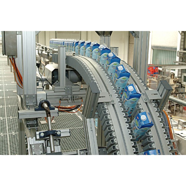 Plastic Chain Conveyor
