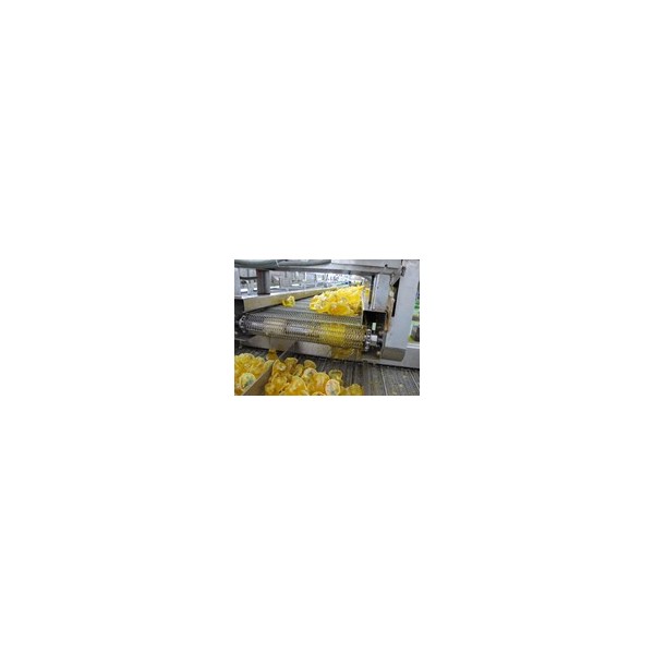 Mesh Chain Conveyor