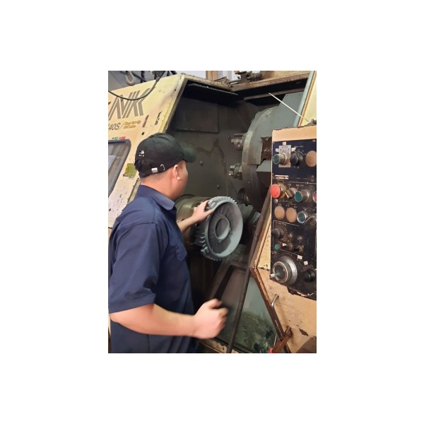 Motor cover