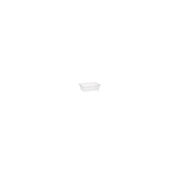 Plastic box