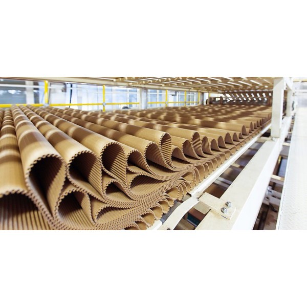 Corrugated board