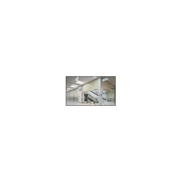 Slat fire-resistant insulated shutter