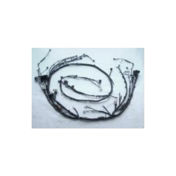Wire Harness