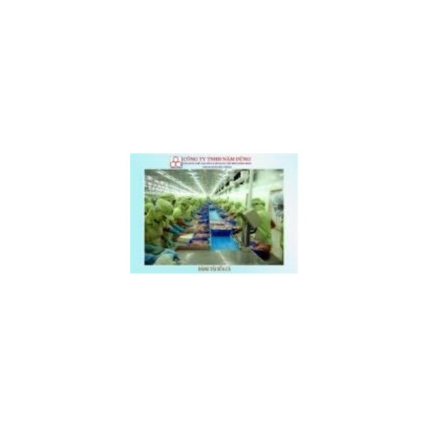 IQF Freezer