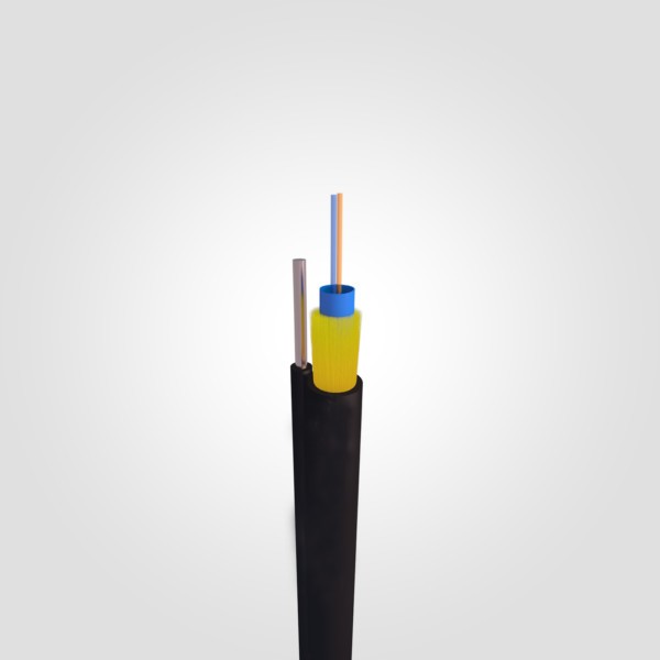 Loose buffer optical subscriber line