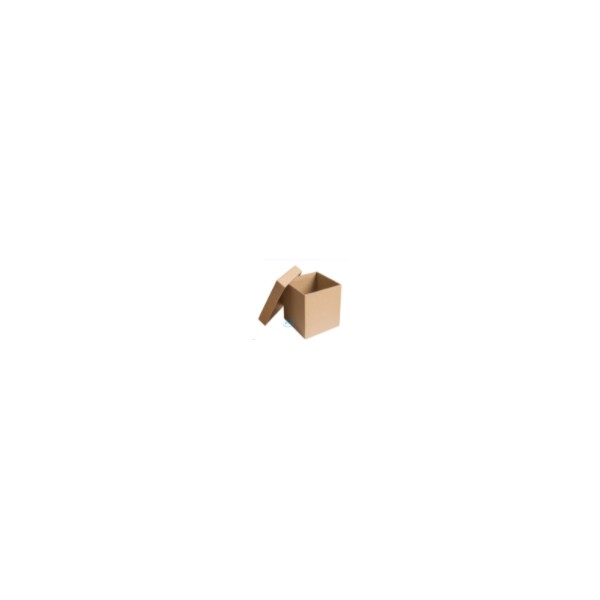 Thùng Carton Nắp Rời