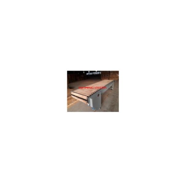 Chain Conveyor