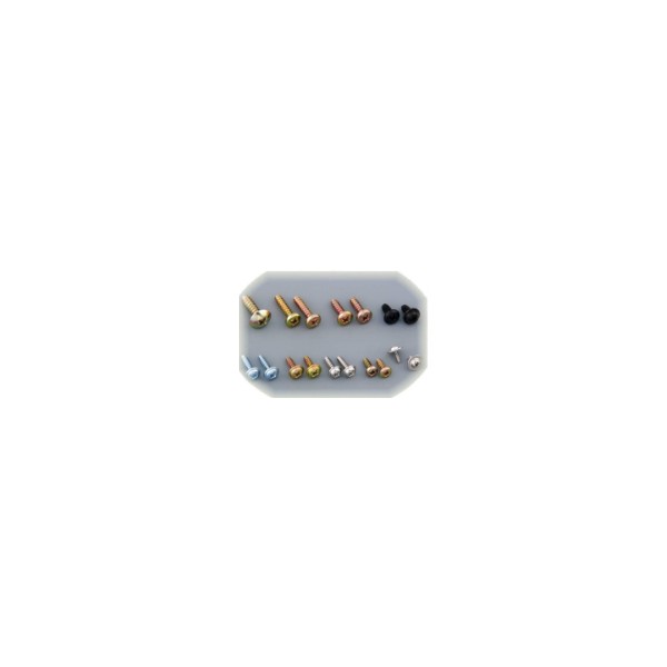 Stainless Steel Screws