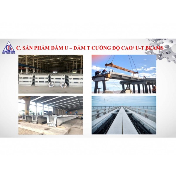 TỔNG CÔNG TY CỔ PHẦN XÂY DỰNG  CÔNG NGHIỆP VIỆT NAM