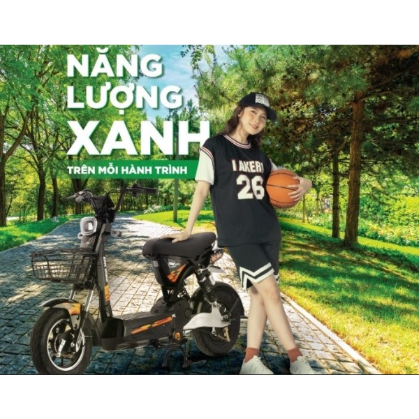 DK133M Electric Bicycle