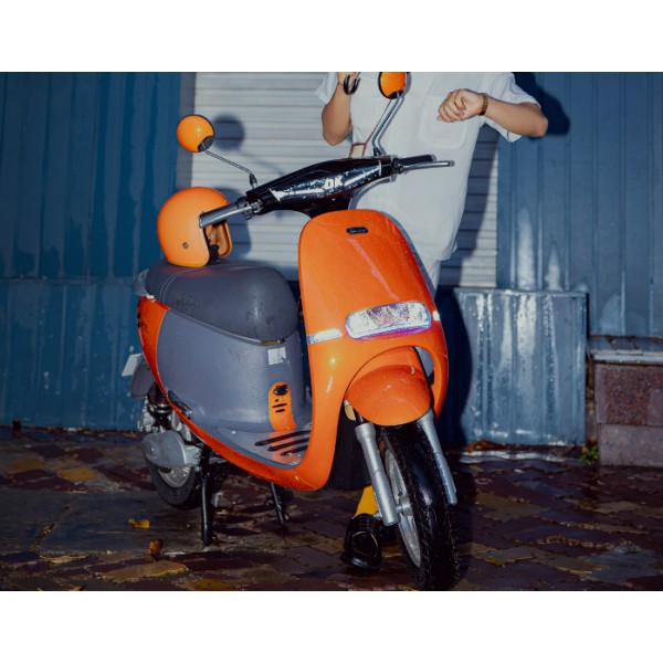 DKGogoS Electric Bike